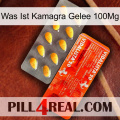What Is Kamagra Jelly 100Mg new01